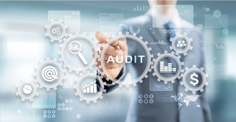 SME Audit Firm